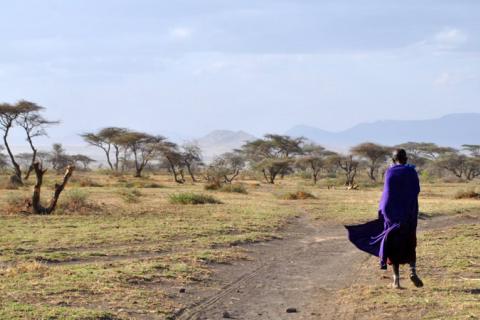 Massai in Kenia